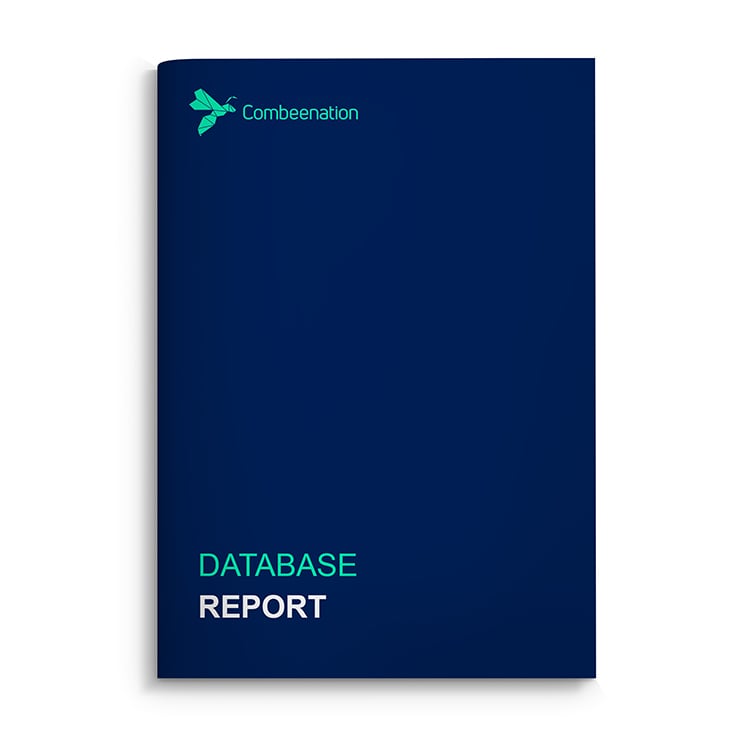 database-report-3